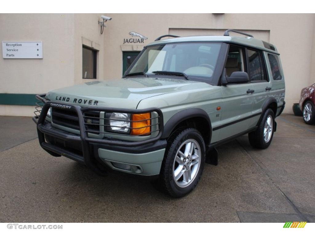 2002 Discovery II SE - Epsom Green Metallic / Bahama Beige photo #1