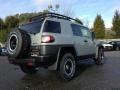 2013 Trail Teams Cement Gray Toyota FJ Cruiser Trail Teams Special Edition 4WD  photo #2