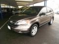 2010 Urban Titanium Metallic Honda CR-V EX AWD  photo #1