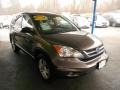 2010 Urban Titanium Metallic Honda CR-V EX AWD  photo #7