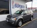 2011 Sterling Grey Metallic Ford Escape XLT V6  photo #1