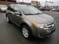 2013 Mineral Gray Metallic Ford Edge SEL AWD  photo #4