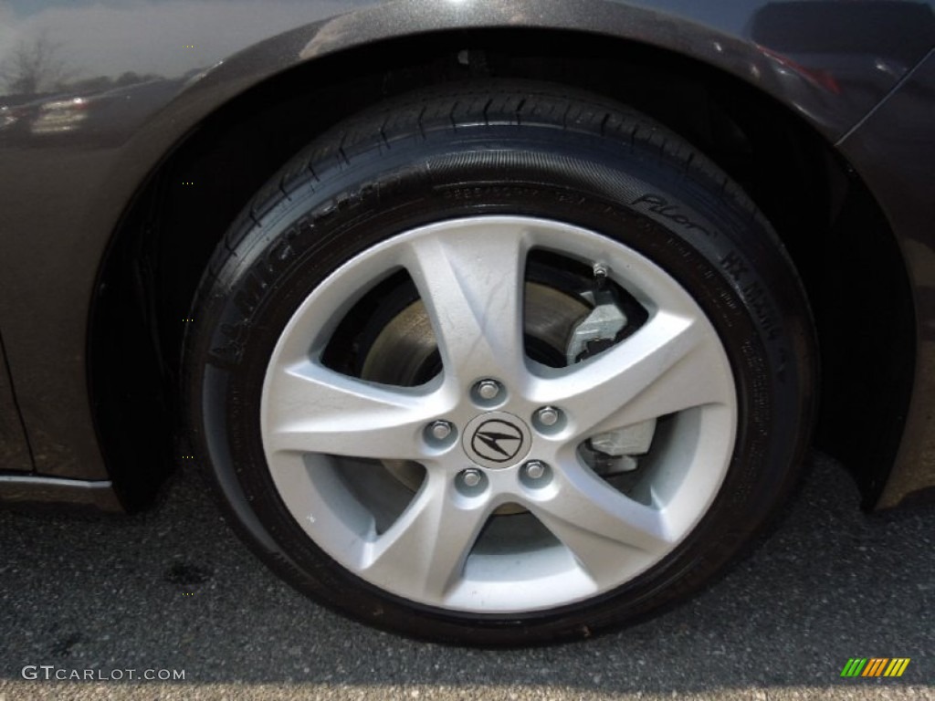 2010 TSX Sedan - Grigio Metallic / Ebony photo #22