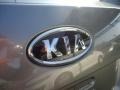 2011 Clear Silver Kia Rio   photo #24