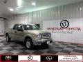 Pale Adobe Metallic - F150 XLT SuperCab Photo No. 1