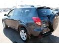 Flint Mica - RAV4 Sport 4WD Photo No. 11
