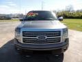 2011 Sterling Grey Metallic Ford F150 Platinum SuperCrew 4x4  photo #2