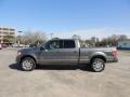 2011 Sterling Grey Metallic Ford F150 Platinum SuperCrew 4x4  photo #5