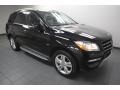 Black - ML 350 4Matic Photo No. 9