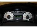 2012 Ford Expedition Charcoal Black Interior Gauges Photo