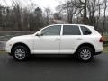 Sand White 2010 Porsche Cayenne Tiptronic Exterior