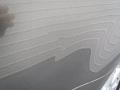 Phantom Gray Pearl - Avalon XL Photo No. 17