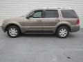 2004 Mineral Grey Metallic Lincoln Aviator Luxury  photo #5