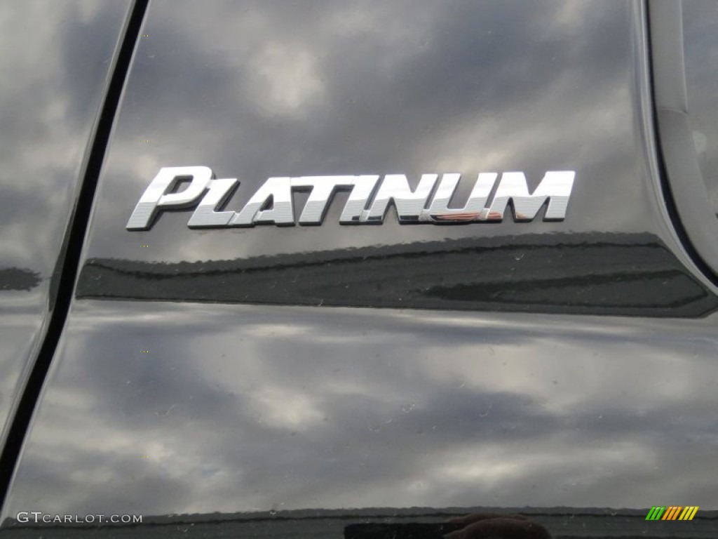 2010 Toyota Tundra Platinum CrewMax 4x4 Marks and Logos Photo #76613008