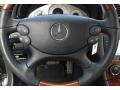 Cappuccino/Black Steering Wheel Photo for 2008 Mercedes-Benz CLK #76613476