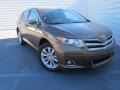 Golden Umber Metallic - Venza XLE Photo No. 2