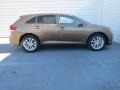 Golden Umber Metallic - Venza XLE Photo No. 3