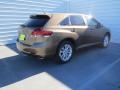 Golden Umber Metallic - Venza XLE Photo No. 4