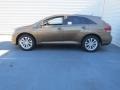 Golden Umber Metallic - Venza XLE Photo No. 6