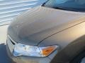 Golden Umber Metallic - Venza XLE Photo No. 10