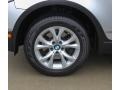 2010 BMW X3 xDrive30i Wheel and Tire Photo