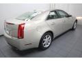 Gold Mist - CTS Sedan Photo No. 11