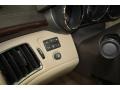 Gold Mist - CTS Sedan Photo No. 31