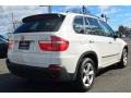 Alpine White - X5 xDrive30i Photo No. 9