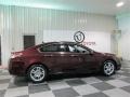 2009 Basque Red Pearl Acura TL 3.5  photo #7