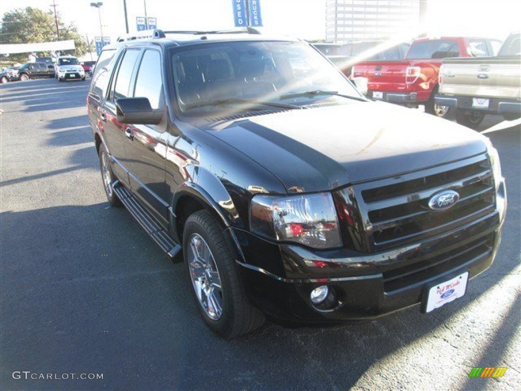 2009 Expedition Limited - Black / Charcoal Black Leather/Caramel Brown photo #1