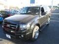 2009 Black Ford Expedition Limited  photo #3