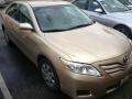 Sandy Beach Metallic - Camry  Photo No. 2