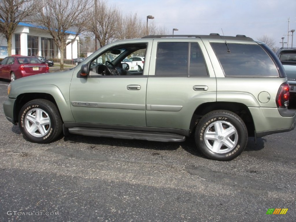 Silver Green Metallic 2003 Chevrolet TrailBlazer LTZ 4x4 Exterior Photo #76643916