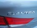Titanium Gray Metallic - Elantra GLS Photo No. 13
