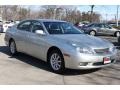 Millennium Silver Metallic - ES 300 Photo No. 3