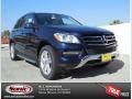 2013 Lunar Blue Metallic Mercedes-Benz ML 350 4Matic  photo #1