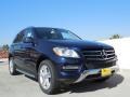 2013 Lunar Blue Metallic Mercedes-Benz ML 350 4Matic  photo #11