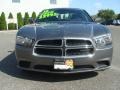 Tungsten Metallic - Charger SE Photo No. 2