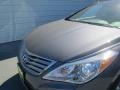 2013 Smoke Gray Metallic Hyundai Azera   photo #9