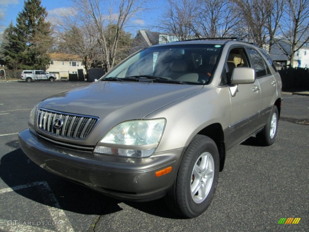 2003 RX 300 AWD - Burnished Gold Metallic / Ivory photo #2