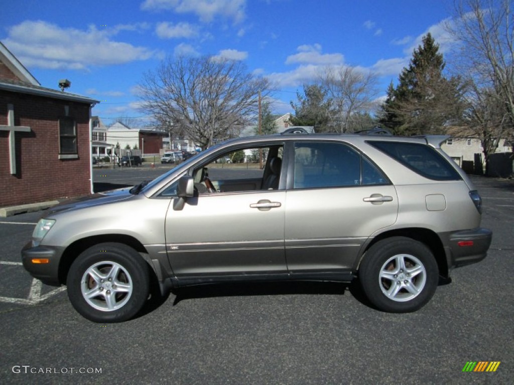 2003 RX 300 AWD - Burnished Gold Metallic / Ivory photo #3