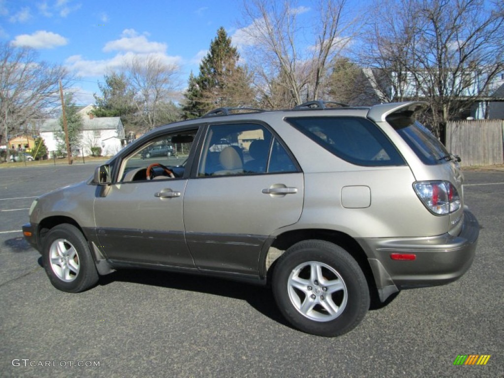 2003 RX 300 AWD - Burnished Gold Metallic / Ivory photo #4