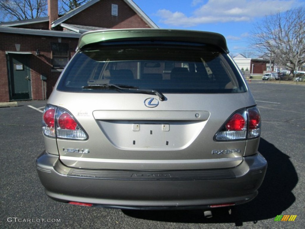 2003 RX 300 AWD - Burnished Gold Metallic / Ivory photo #6