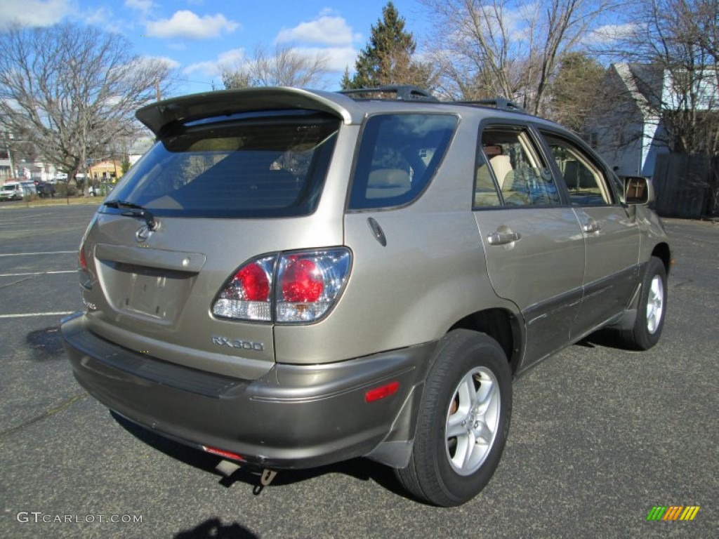 2003 RX 300 AWD - Burnished Gold Metallic / Ivory photo #7