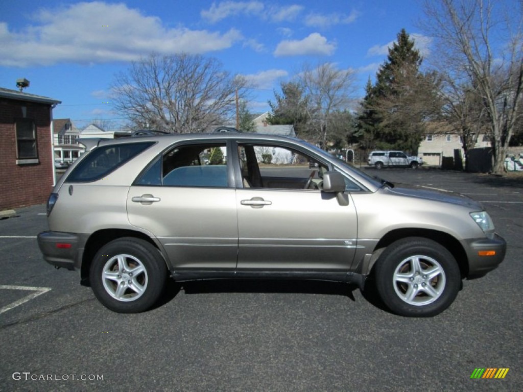 2003 RX 300 AWD - Burnished Gold Metallic / Ivory photo #9
