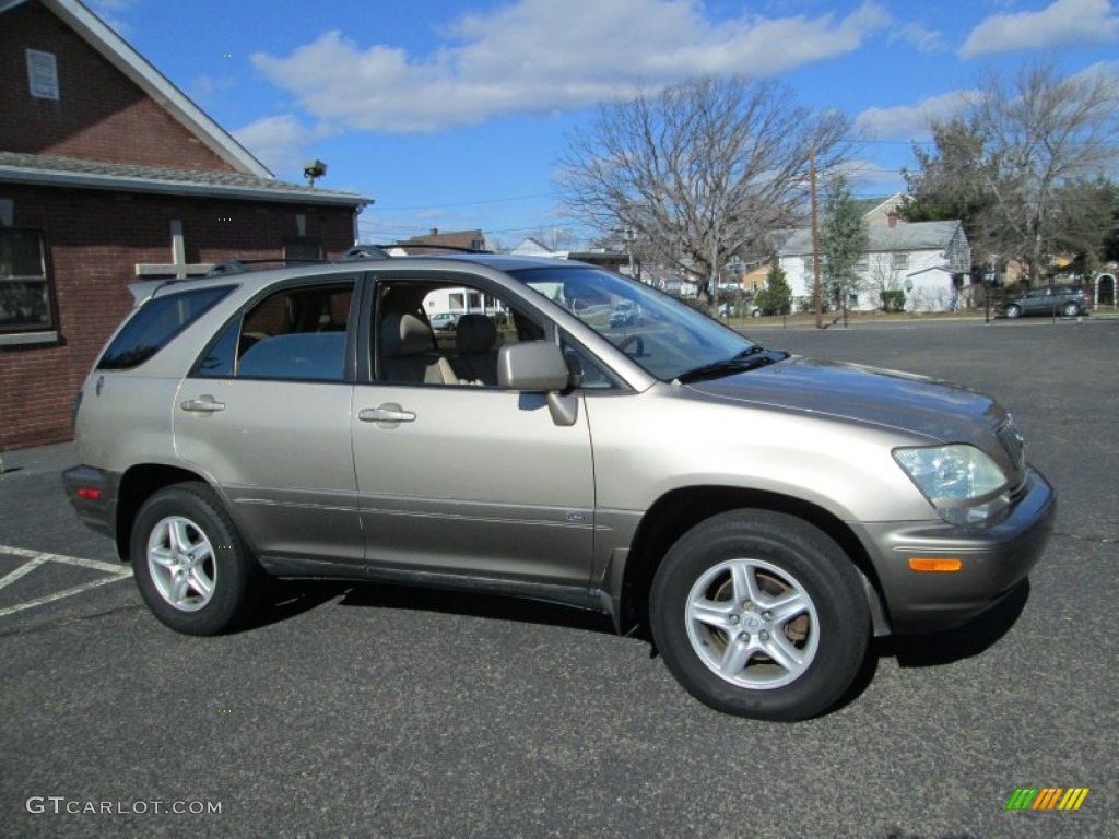 2003 RX 300 AWD - Burnished Gold Metallic / Ivory photo #10