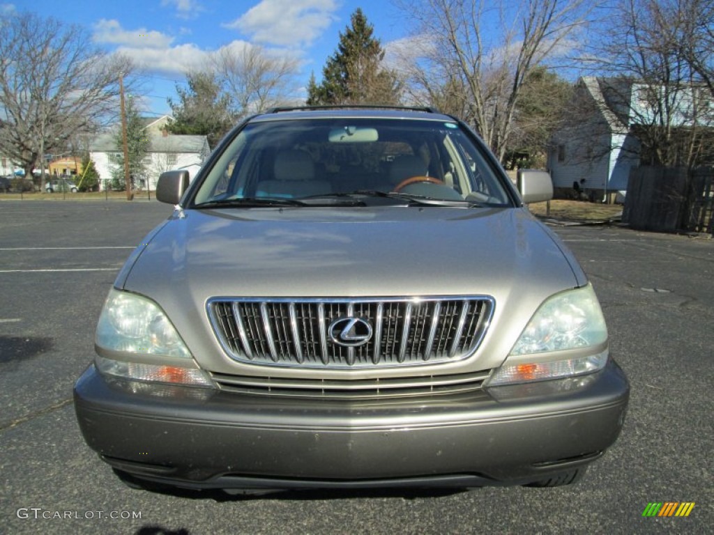 2003 RX 300 AWD - Burnished Gold Metallic / Ivory photo #12