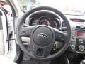 2013 Kia Forte Stone Interior Steering Wheel Photo