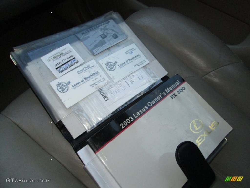 2003 RX 300 AWD - Burnished Gold Metallic / Ivory photo #31