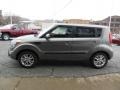  2013 Soul + Titanium Gray